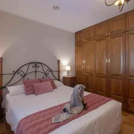 Ada Enjoy * Tesejerague