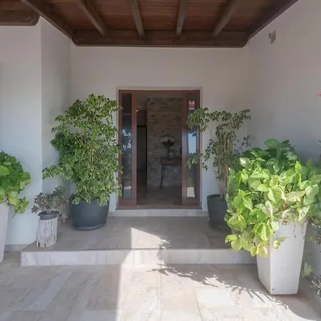 Ada Enjoy * Tesejerague