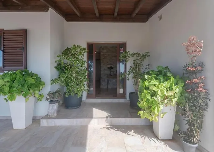 Ada Enjoy * Tesejerague